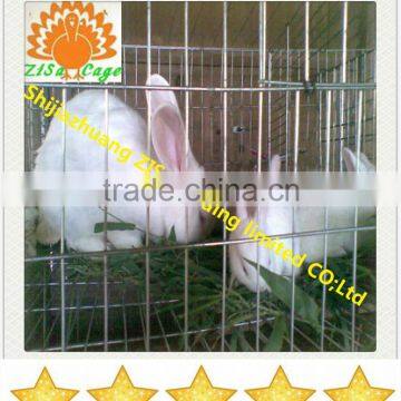 china zisa factory rabbit cage equipment