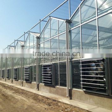 Large Span Glass Multi-span Greenhouse