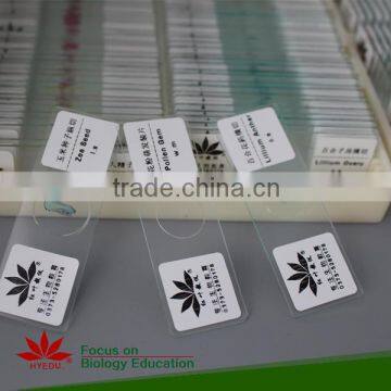 Microscope Prepared Slides ,Root Slides, Root of abnormal condition Prepared Slides