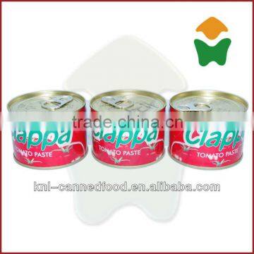 Competitive Price Tomato Paste Price Ton Repacking in 210gx48tins photo-1