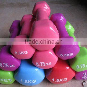 Yoga Dumbbell Pure Home Vinyl Dipping Neoprene Dumbbell