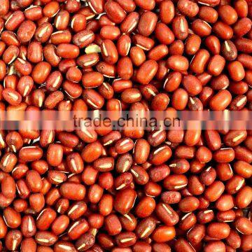 Australian Red Adzuki Beans