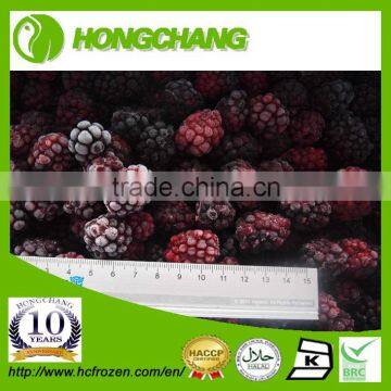 IQF fresh Frozen blackberry Fruit with low price