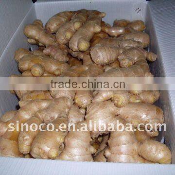 Air Dry Ginger (250g)