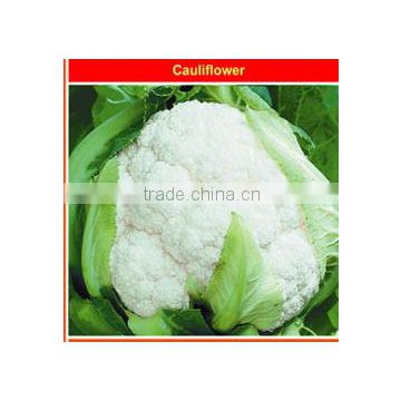 Vegetable Seeds-All Varieties Of Cauliflower Seeds For Growing