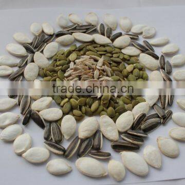 Popular Products Chinese sunflower seeds 5009 Long shape