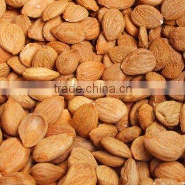 Apricot Kernels