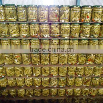 canned Pickled baby cucumbers with good price