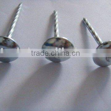 roofing nails