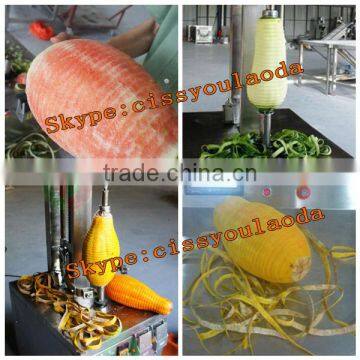 Vertical Melon Wax Gourd Pumpkin Peeling Machine