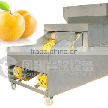 High Quality Plum Stoner, Plum Pitter, Plum Corer With CE Certificated photo-6