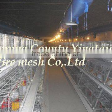 Poultry Dung Removing Machinery Equipment /layer Poultry Cages for Nigeria/africa