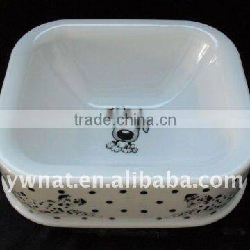 plastic dog bowl