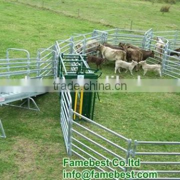 Sheep Yard Panels and Gates