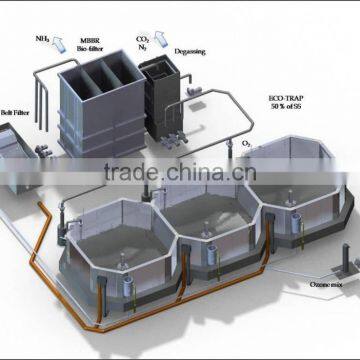 ZH Made Fish Farming System