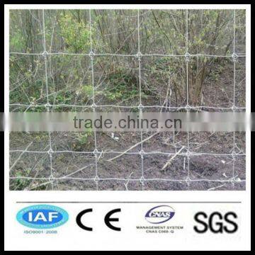 Wholesale alibaba China CE&ISO certificated metal animal farm fence panel (pro manufacturer)