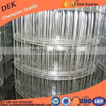 8 Gauge 2X2 Galvanized Pvc Welded Wire Mesh