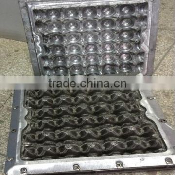 plastic egg tray mold