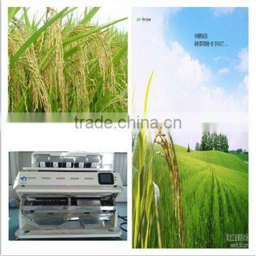 MIngder Millet/Sorghum Rice Color Sorter Machine With Competive Price photo-6
