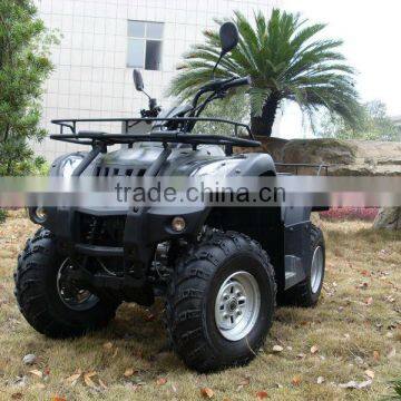 beach buggy 250cc