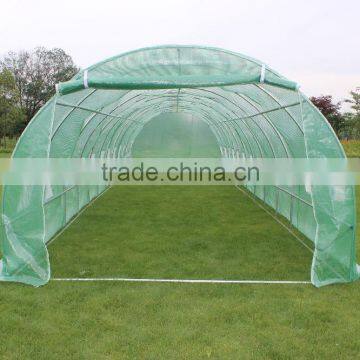 High Quality Poly Tunnel Greenhouse 10*3*2m photo-2