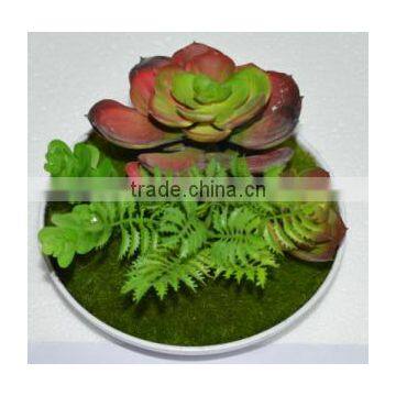 SJ3001011 Indoor Mini Bonsai Cactus Plant Artificial photo-5