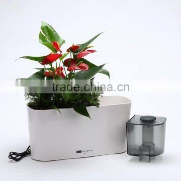 Multi-funcational Humidifying Flower Pot photo-2
