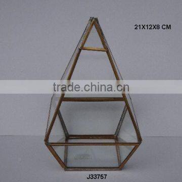 Glass Plant terrarium with brass sides