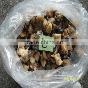 Best Seafood and Conch Meat for Sale photo-1