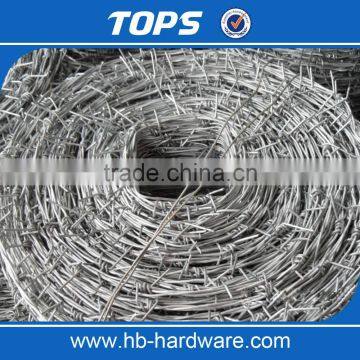 Electro and Hot Dipped Hot Dipped Barbe Wire (specialized Manufacturer) photo-5