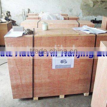 Electric Belt Driven Air Compressor - BWI75E75H160 photo-6