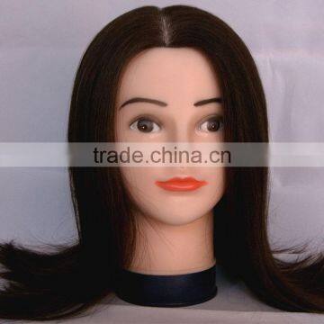 Beauty School Human Hair Trainning Head Salon Teaching Head Hair Styling Head photo-2