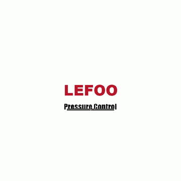 Zhejiang LEFOO Industrial Co., Ltd.