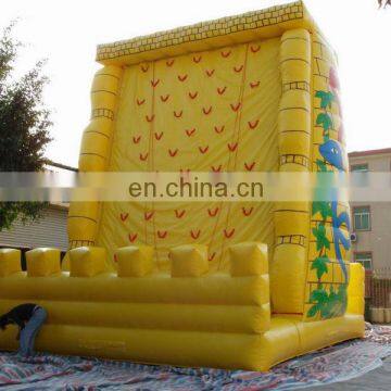 Hot Sell Inflatable Water Slide With Climbing