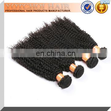 Wholesale virgin indian kinky curly hair,indian human hair