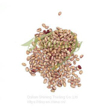 Chinese Cranberry Beans photo-4