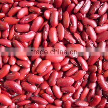 red kidney beans