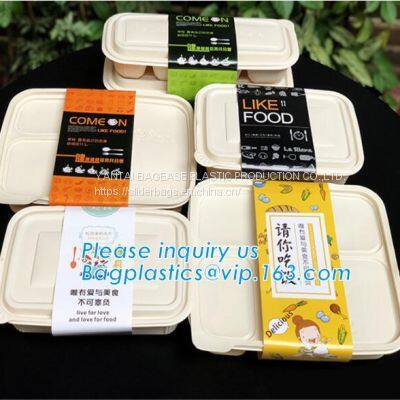 Corn Starch Bio-based Disposable Lunch Box, Corn Starch Disposable Food Container, Disposable Tableware Lunch Box photo-3