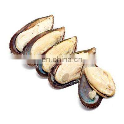 frozen half shell mussels half shell mussel meat Mytilus edulis