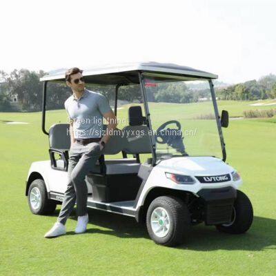 Global Sales of Golf Carts, Electric Sightseeing Vehicles, and Electric Trucks photo-4
