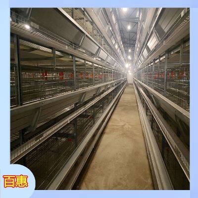Jaula de pollos de carne totalmente automática