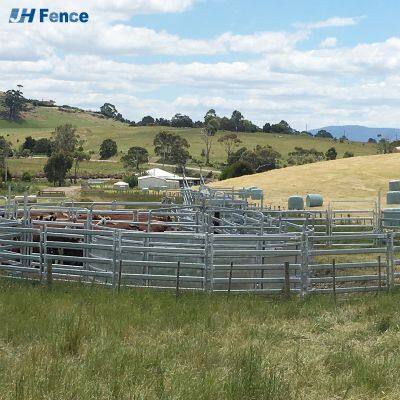 Livestock Fencing Cattle Panels Horse Corral Panel Gates Galvanized Portable Yard Panel for Farm photo-4