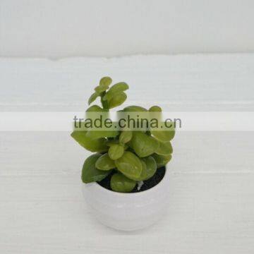 Decorative artificial plants plastic plants wholesale from China