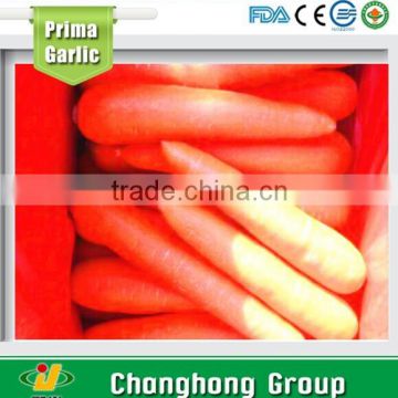 update price for 2015 fresh carrot in chinese market