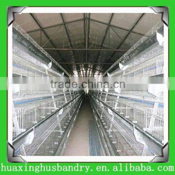 direct factory manufacturing cages quail automatic