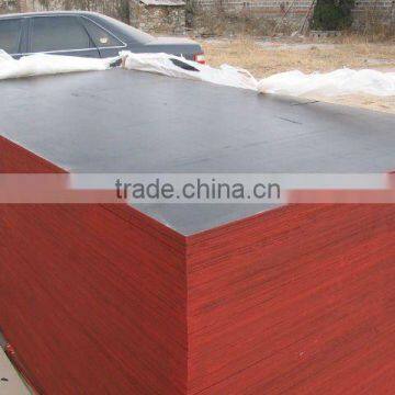 black film faced plywood(poplar core, melamine glue, 12mm/18mm/21mm)