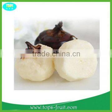 Supply Organic Water Chestnut in Bulk