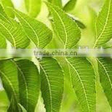 NEEM OIL SUPPLIERS