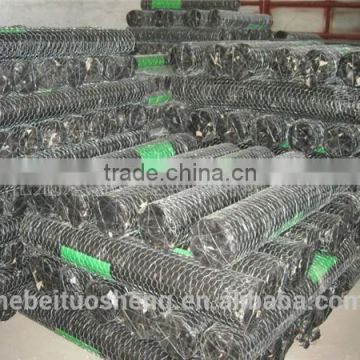 (Anping Manufacturer)Vinyl Chicken Wire(Chicken/Rabbit/Poultry Hex Wire)