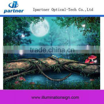 Top Selling Wholesale Canvas Picture With Led Light Custom